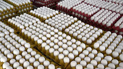 Yumurtada 'son tüketim tarihi' ibaresi kaldırılıyor, yerine...