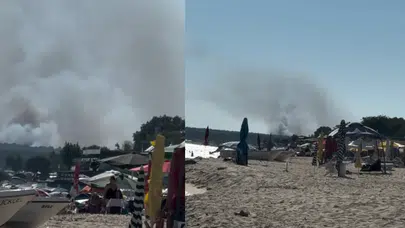 Edirne Enez’de orman yangını