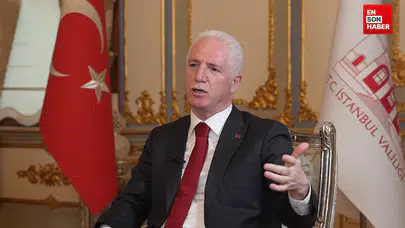 İstanbul Valisi Davut Gül: Yıl sonunda sahipsiz sokak hayvanları gündemden çıkacak!