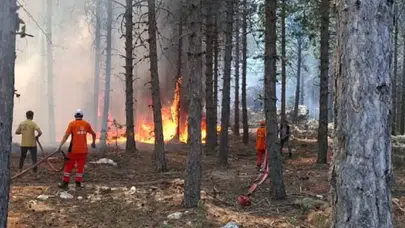Aydın’ın Çine ilçesinde orman yangını: Müdahale sürüyor