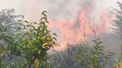 Kocaeli Çayırova’da yangın paniği: Alevler evler ve okula yaklaştı