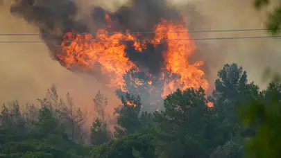 Bakan Yumaklı: 7 orman yangını kontrol altında, 44 şüpheli gözaltında