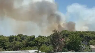 Antalya Muratpaşa’da orman yangını yeniden başladı