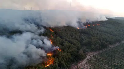 Tekirdağ'da başlayan yangın Gelibolu'ya sıçradı: 4 kişi hastaneye kaldırıldı