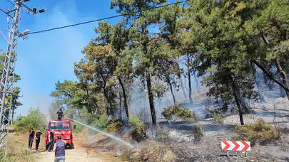 Antalya Manavgat'taki orman yangınına müdahale ediliyor