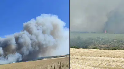 Silivri’deki orman yangınıyla ilgili flaş gelişme: AK Partili eski ilçe başkanı tutuklandı!