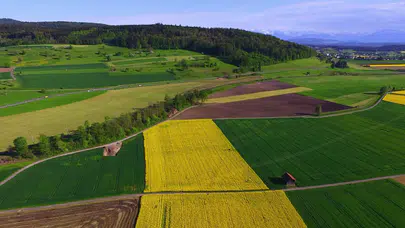 İşlenmeyen tarım arazileri 1 Eylül’de kiraya verilecek: Tapu sahiplerine kritik uyarı!