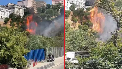 İstanbul Kağıthane'de ağaçlık alanda yangın
