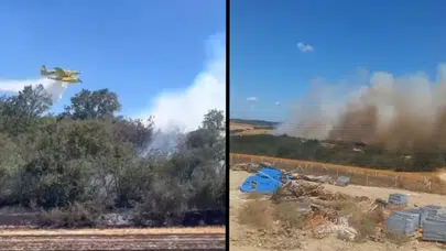 Silivri'de otluk alanda başlayan yangın ormana sıçradı