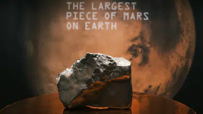 Dünyanın en büyük Mars göktaşı New York'ta 5.3 milyon dolara satıldı