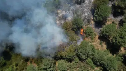 Sultangazi Kent Ormanı’ndaki yangın bir saatte kontrol altına alındı