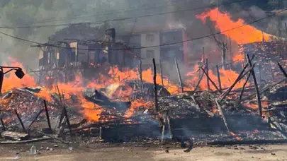 Türkiye'nin dört bir yanında orman yangınlarıyla mücadele sürüyor