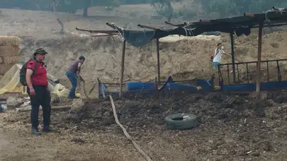 İzmir Ödemiş’te orman yangını felaketi: 4 köy tahliye edildi, 2 kişi hayatını kaybetti