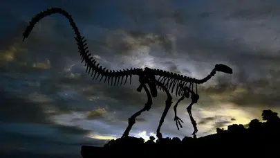 ABD’de 200 milyon yıllık yeni pterozor türü keşfedildi