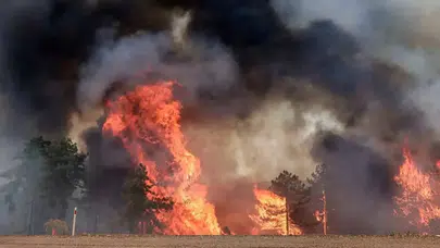 Bursa’da havai fişek yangını soruşturmasında şüphelilere ağaç dikme cezası