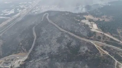 Bursa'daki yangının acı boyutu gün ağarınca ortaya çıktı: 100 hektardan fazla alan kül oldu