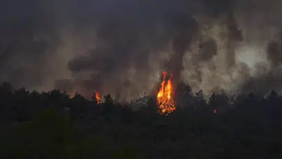 İzmir Urla’da orman yangını: Müdahale havadan ve karadan sürüyor