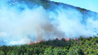 İstanbul Pendik’te Aydos Ormanı’nda yangın: İtfaiye ekipleri hızla müdahale ediyor