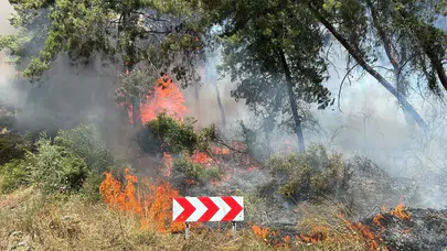 Tarım ve Orman Bakanı İbrahim Yumaklı, orman yangınlarının son durumuna ilişkin açıklama yaptı