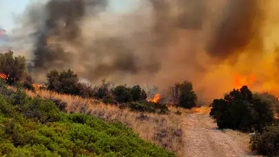 Yangınlara karşı uluslararası yardım çağrısı yapılacak mı? İşte tüm detaylar...