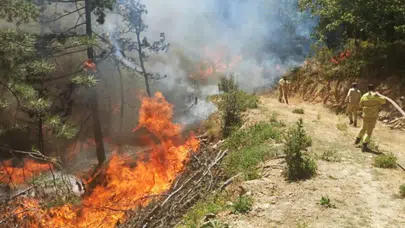 Bakan Kurum, orman yangınlarının bilançosunu açıkladı