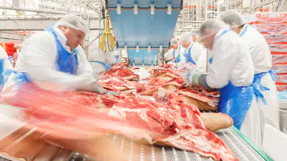 Metro, Migros ve McDonald’s’a et tedarik eden Erşan Et, konkordato ilan etti