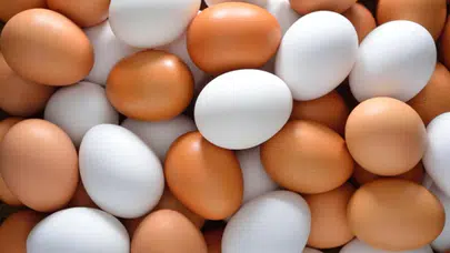 Yumurtaların tazelik kontrolü: Bozulduğunu anlamanın yolları