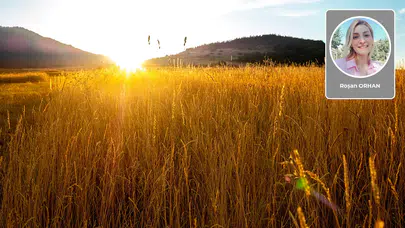 Roşan Orhan yazdı: Çavdar Tarlasında Kardeşlik