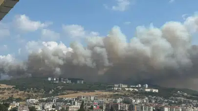 Çanakkale Sarıcaeli köyündeki orman yangınında gözaltına alınan 4 kişi serbest bırakıldı