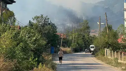Bartın'da 4 ayrı noktada çıkan orman yangını büyüyor