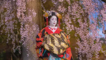 Japonya tatili hayal oldu: 800 kişilik büyük tur vurgunu