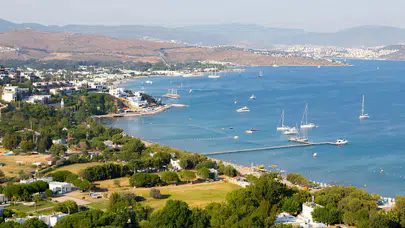 Danıştay iptal etti, TOKİ bitişiği satışa çıkardı: Bodrum'da 215 dönümlük kupon arazi ihaleye açıldı