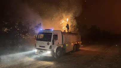 Enez’de çıkan orman yangınında 2 ev zarar gördü, yazlıklar boşaltıldı