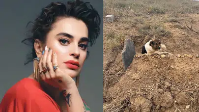 Ceylan Ertem, sadık köpeğe “Heval” adını verdi: Yeni hayat başlıyor