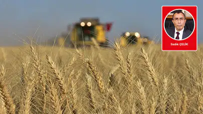 Sadık Çelik yazdı: Tarım, Toplum ve Gelecek: Bir Yeniden Kuruluş Çağrısı