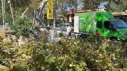 Bakırköy’de şiddetli rüzgar ağacı devirdi