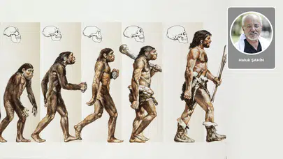 Haluk Şahin yazdı: Asıl beka sorunu: Kim çocuk yapacak? Evrim, yoksa Homo Sapiens'ten umudu kesti mi?