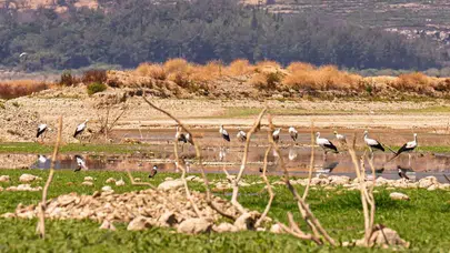 İzmir’de su krizi derinleşiyor: Tahtalı Barajı alarm veriyor, doluluk  yüzde 10’a geriledi