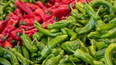 Biberin Cinsiyeti Var mı? Lob Sayısının Gerçek Anlamı Nedir?