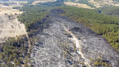 Bolu Mudurnu’daki orman yangınında bir kişi tutuklandı