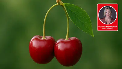 Yasemin Mıstıkoğlu yazdı: Kulağımıza Küpe Olan Kirazlar