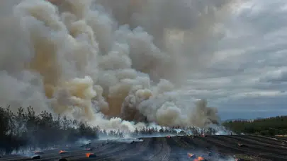 Orman yangınlarına karşı yeni tedbirler: Riskli bölgelerde tren seferleri duracak, piknik alanları kapanacak