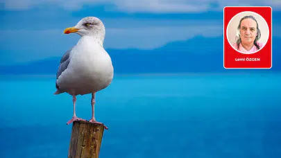 Lemi Özgen yazdı: Martı masalları