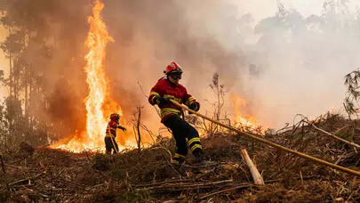 İspanya ve Portekiz'de orman yangınları olağan hızıyla devam ediyor