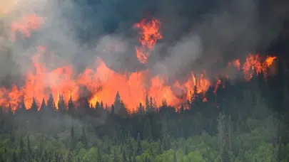 Bakan Yumaklı'dan orman yangınlarına ilişkin uyarı: Önümüzdeki 1 hafta çok riskli