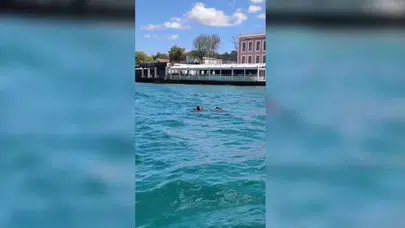 Boğaziçi Kıtalararası Yüzme Yarışı’nda Rus antrenör kayboldu