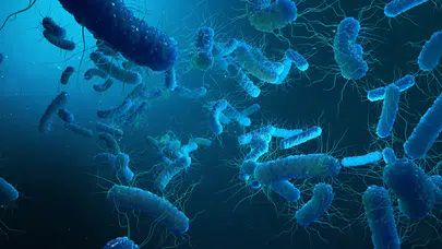 Bilim insanları sıfırdan tasarlanmış genomla Syn57 adlı sentetik bakteri üretti