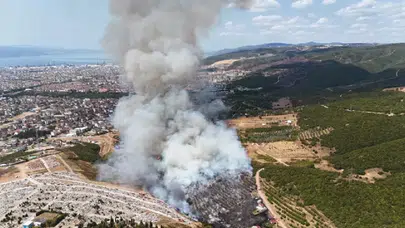 Kocaeli Derince’de orman yangını: Evleri tehdit ediyor