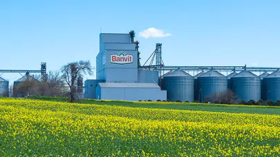 Banvit’e Rekabet Kurulu’ndan 947,3 milyon TL ceza