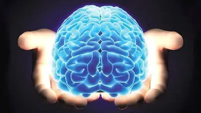 25 milyon yıllık sır çözüldü: İnsan beyni gizli yeteneğini ortaya koydu